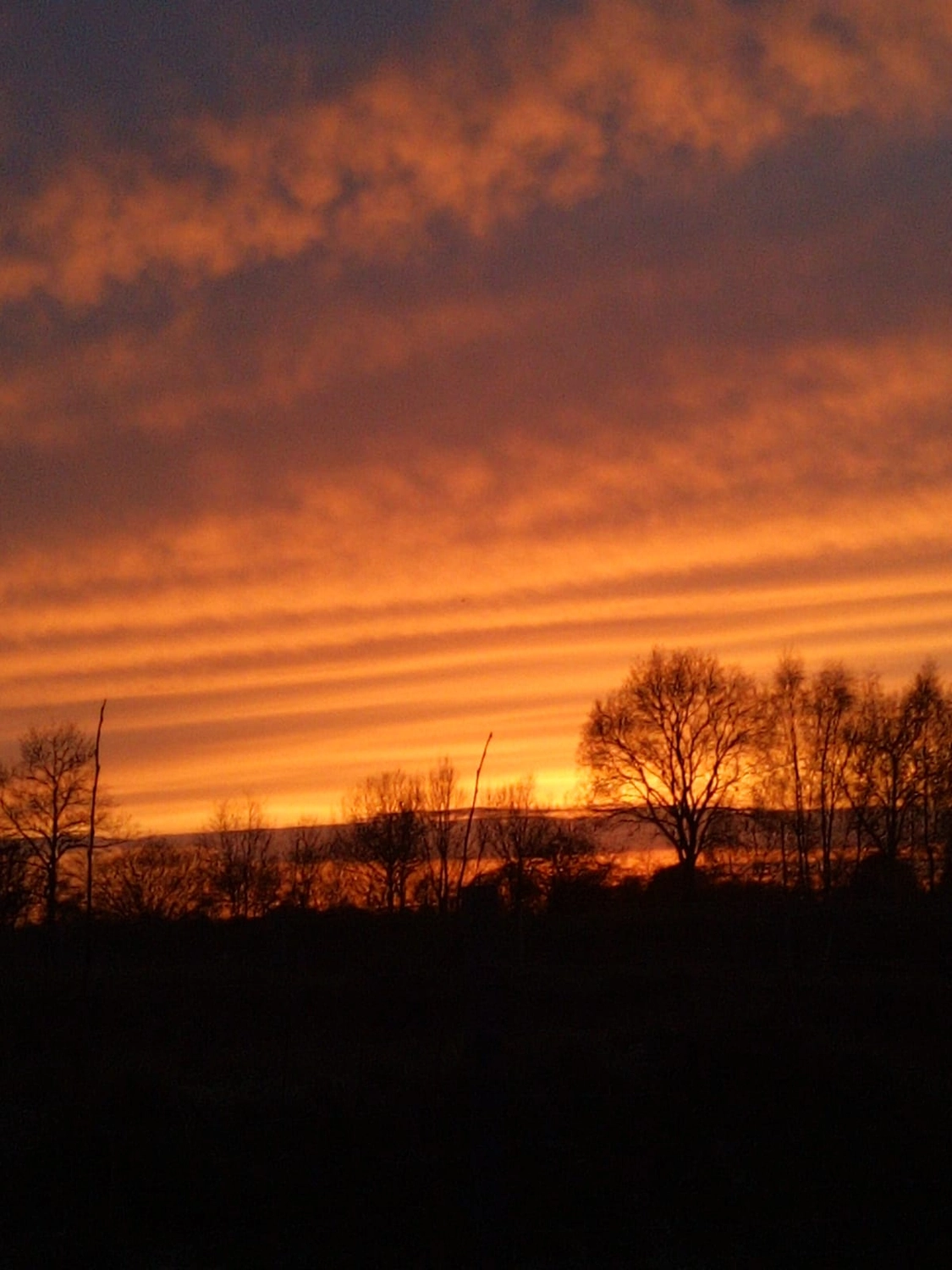Mokurai – Weg der Geistesschulung – Sonnenuntergang über einer Baumlandschaft
