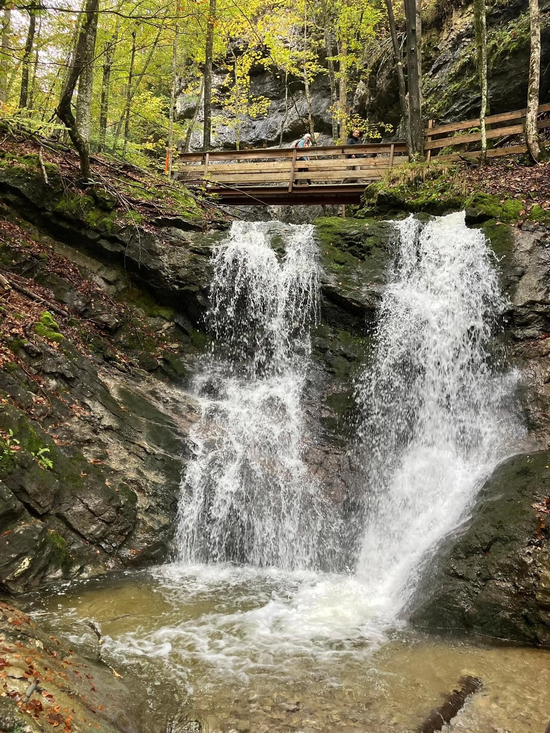 Mokurai – Weg der Geistesschulung - Wasserfall im Wald