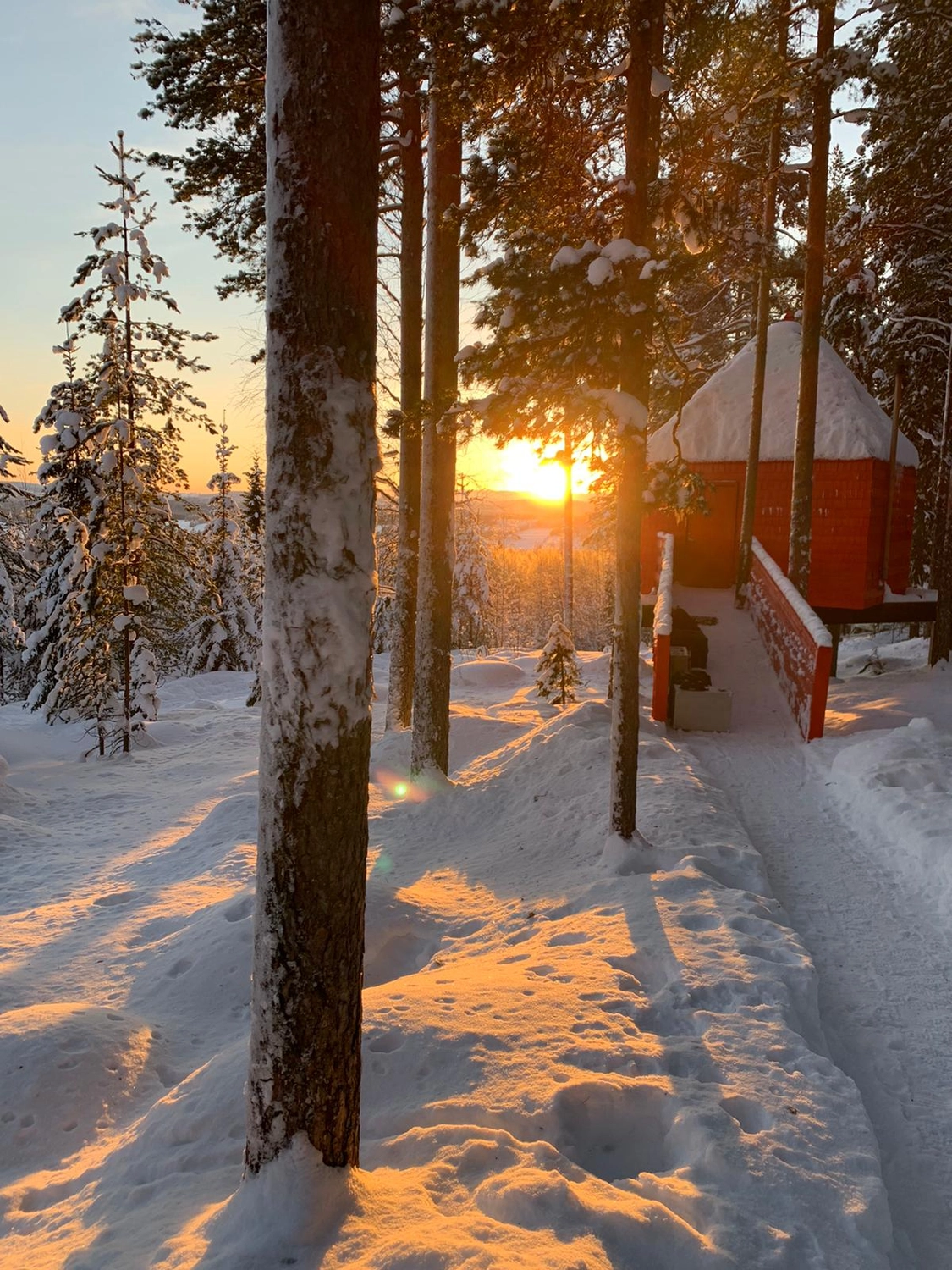 Mokurai - Akademie für Resilienz und Gewaltprävention - Aufnahme aus einem Wald mit Schnee